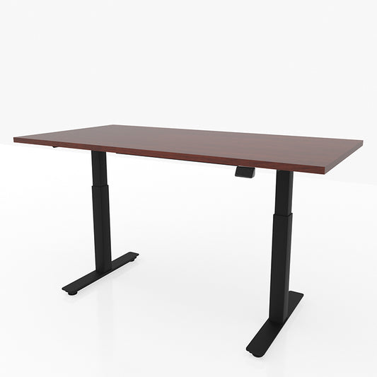 48in x 30in Dual Motor 2 Stage Adjustable Height Sit to Stand Desk